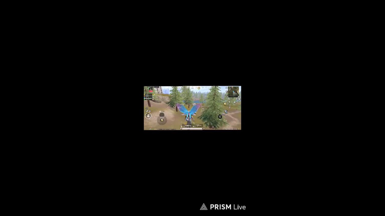 Live streaming of WB 62 GAMER