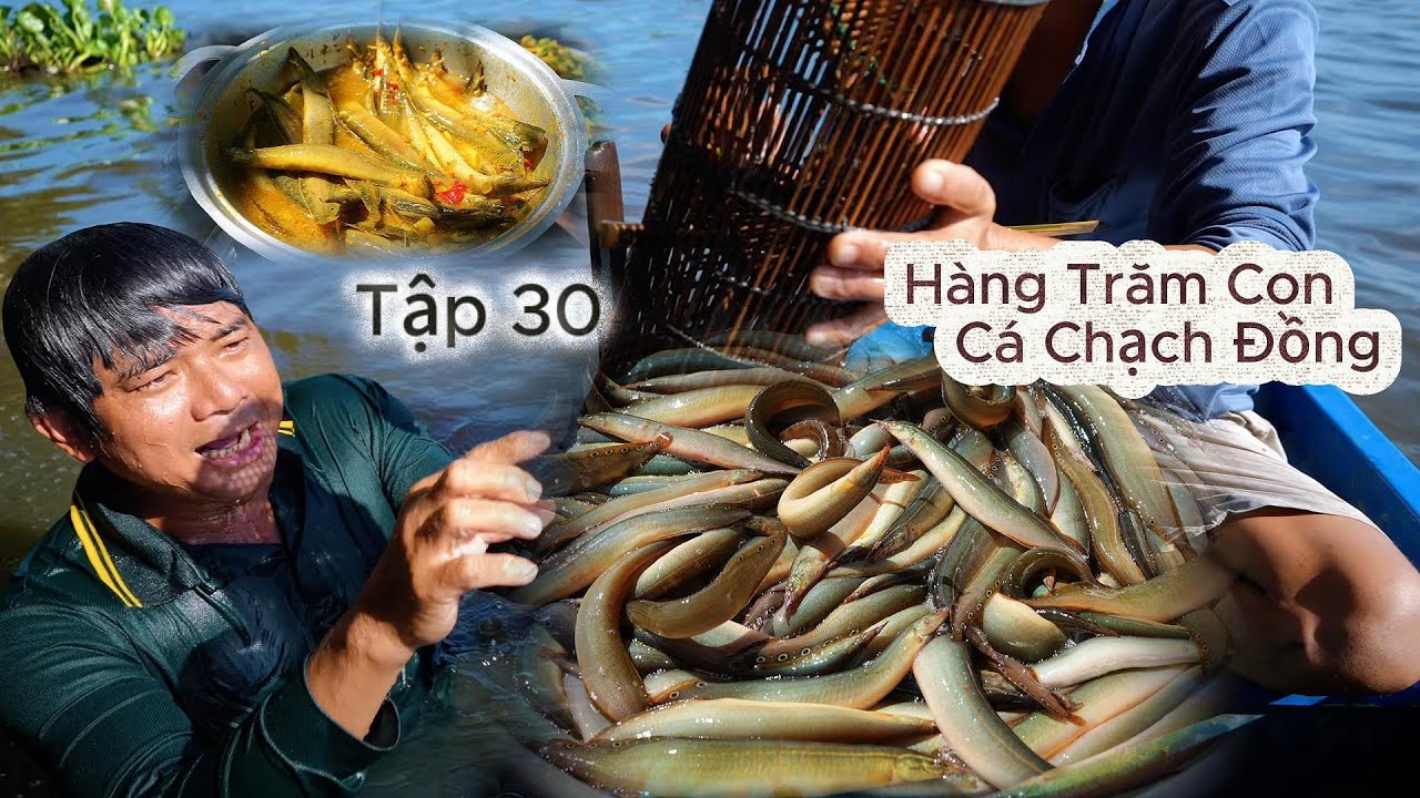 cuộc sống 