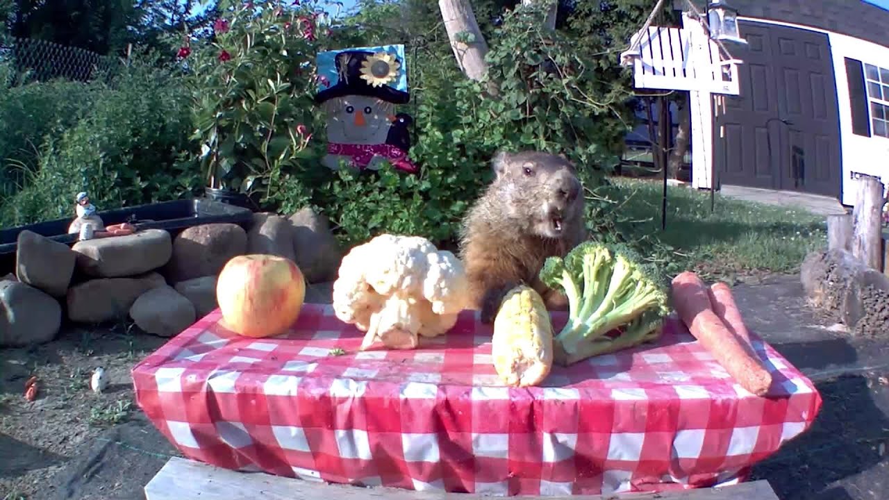 Gimmie Dat Corn! Plus, Chunk Hangs With The Kids!