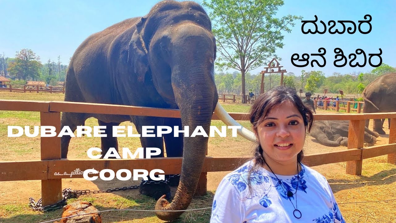 Dubare Elephant camp | Bathing elephants in dubare elephant camp | Exploring Coorg