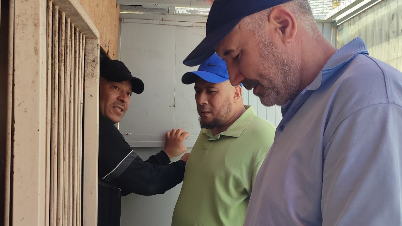 توليعة خفيفة مع البطل الكبير عزيز بلفوز 14/05/2023