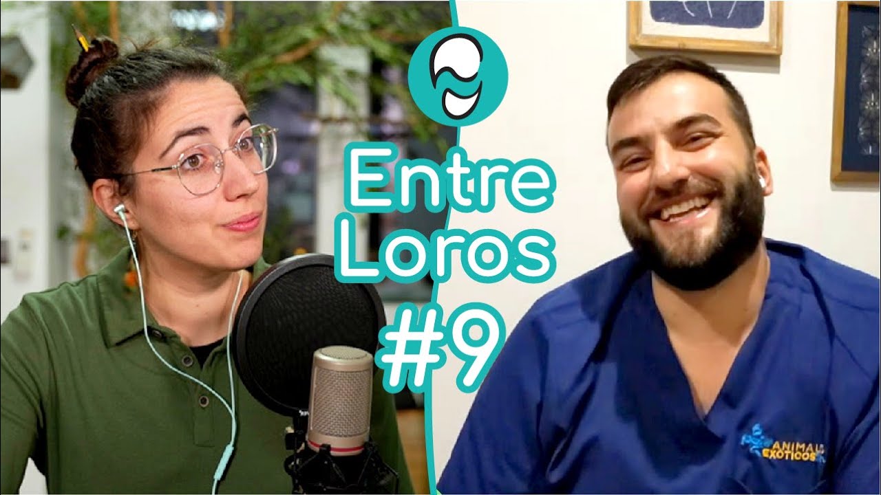 Enfermedades comunes, Síntomas y Peligros - VETERINARIO | Pablo Casar (@pcasarvet) ~🎤 Entre Loros #9