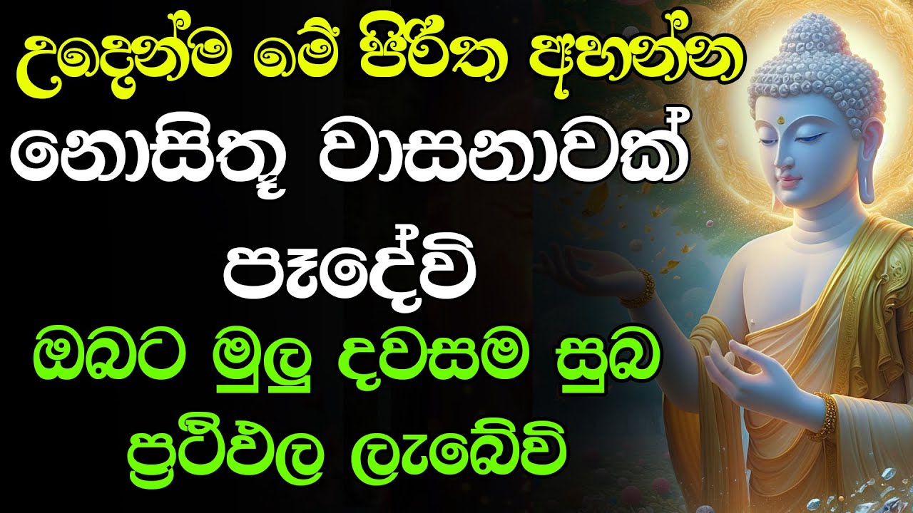 ඔබ සිතන පතන සෑම දෙයක්ම ඉටු වී දෝෂ අපල දුරු වේවි | seth pirith sinhala (සෙත් පිරිත්)