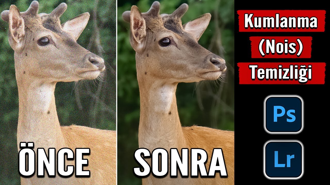 Fotoğrafta Kumlanma Gren Temizliği Yapmak | How to High Iso Noise Reduction Photoshop