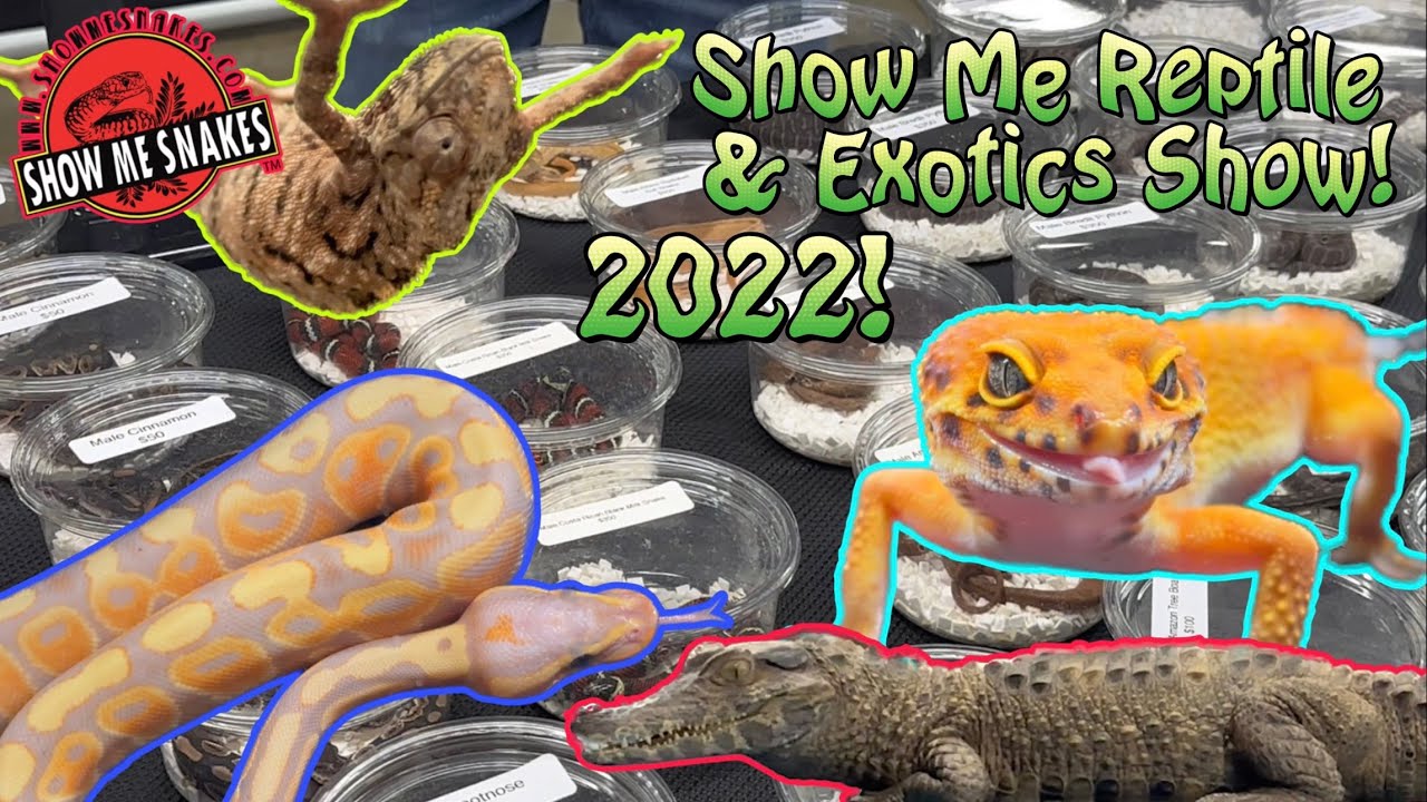 Show Me Reptile & Exotics Show! | Knoxville, TN | 12/3/22