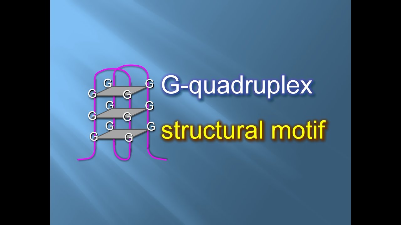 Structural Motif | DNA Guanine Quadruplex | Easy Learning | Illustrated Animations.