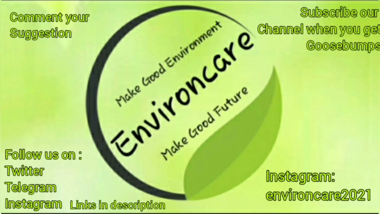 Bishnoi Movement explained | Environmental activism | 363 people killed in one day | environcare