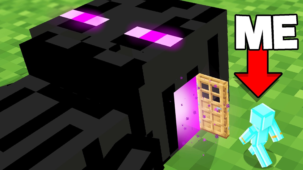 Minecraft but you can Go Inside Mobs