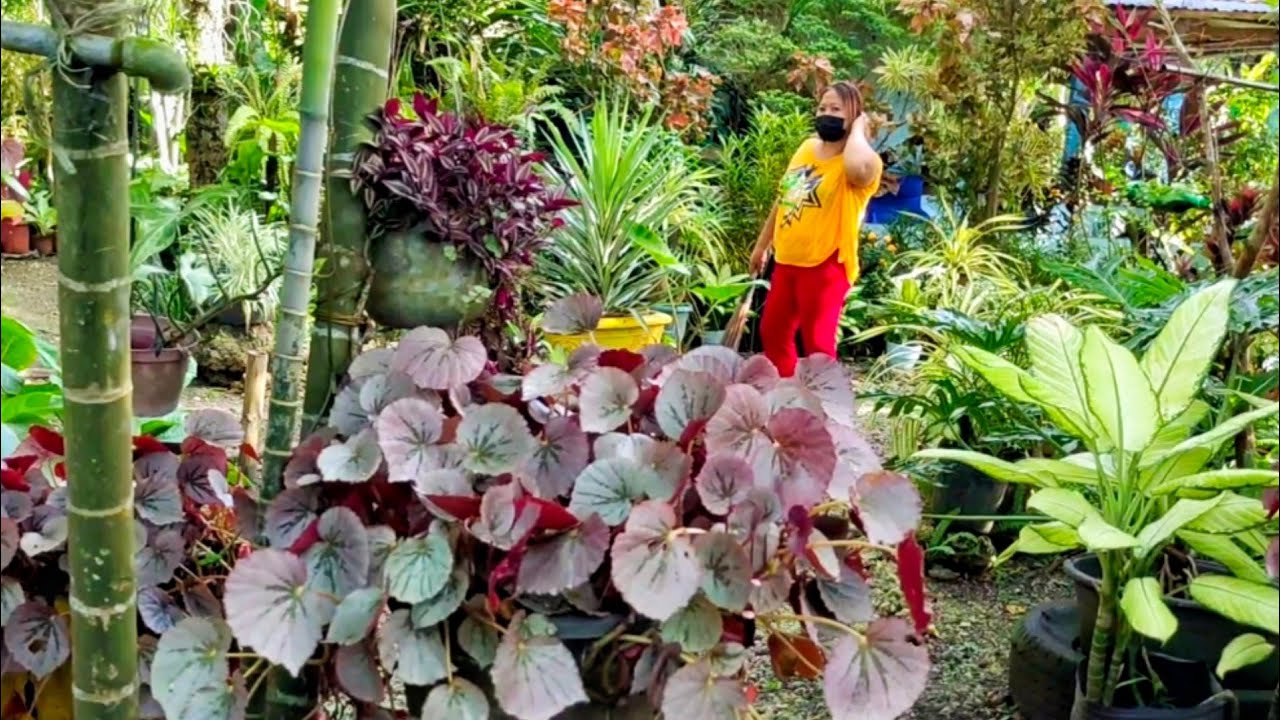 Garden design ng isang 30 years experienced landscaper nakakamanghang pagmasdan ang kanilang bakuran