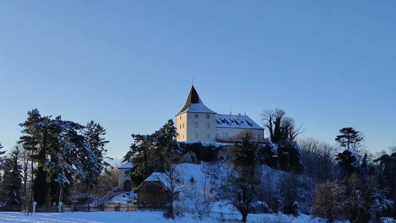 Winterspaziergang im Schnee auf dem Berg zu Burg Ausflug Sonnenschein und Eis Natur Spaziergang