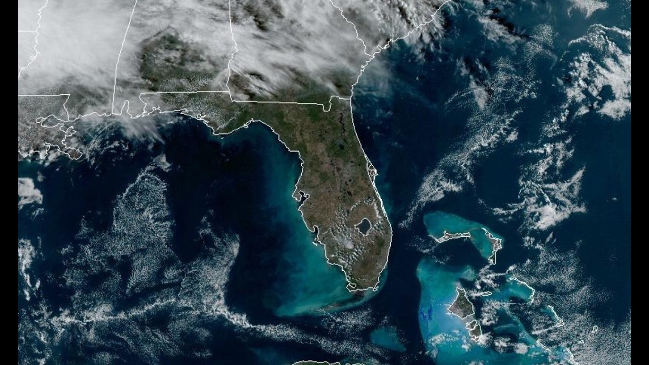 Florida Weather Today Feb 10, 2026 - A Warming Week, and the Weekend Outlook.