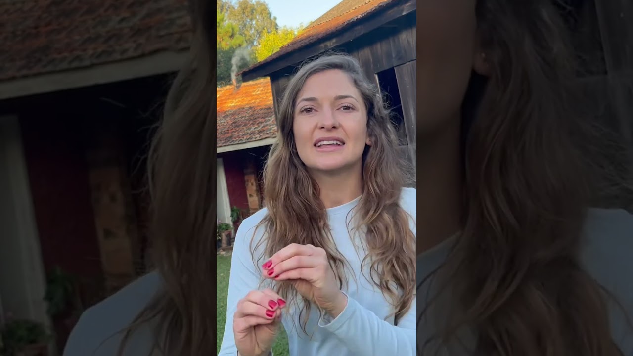 Mel Melato de bracatinga