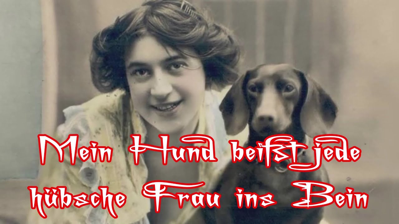 Mein Hund beißt jede hübsche Frau ins Bein - Old German Schlager + English translation