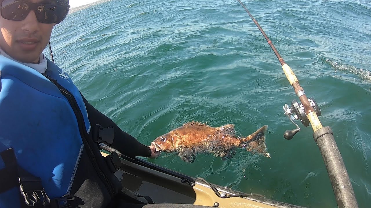 CRITICALLY ENDANGERED Species Caught and Released from a Kayak, a 