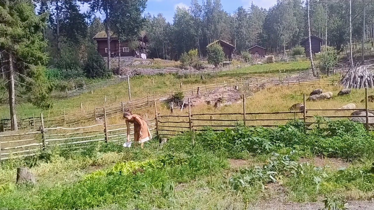 What we eat and harvest in a day at the Norwegian Homestead