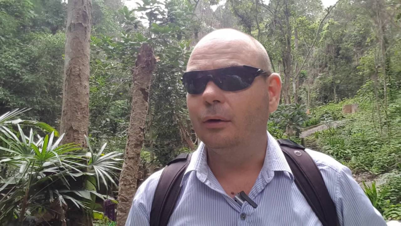 Malaria medicine or not - visiting Thailand