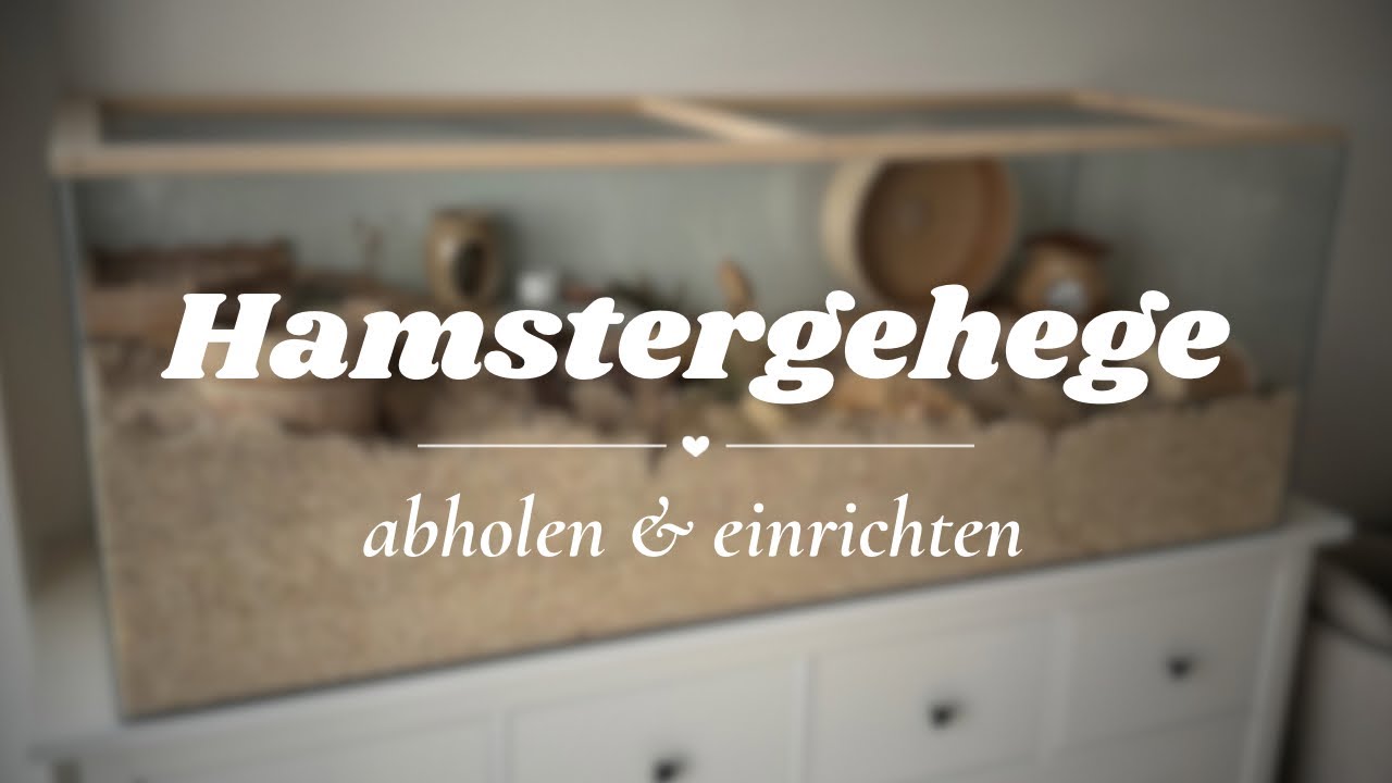 Neues Hamstergehege abholen & einrichten | Hamsterstübchen