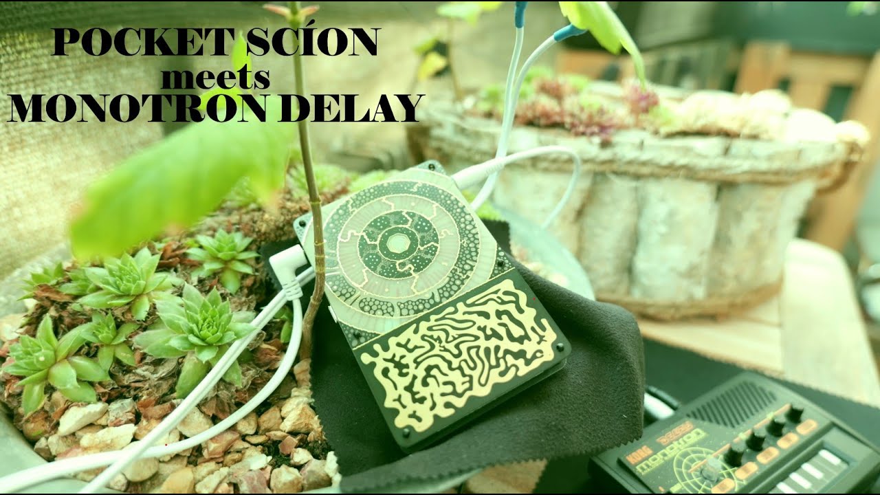 Pocket Scion destroyed by MonotronDelay