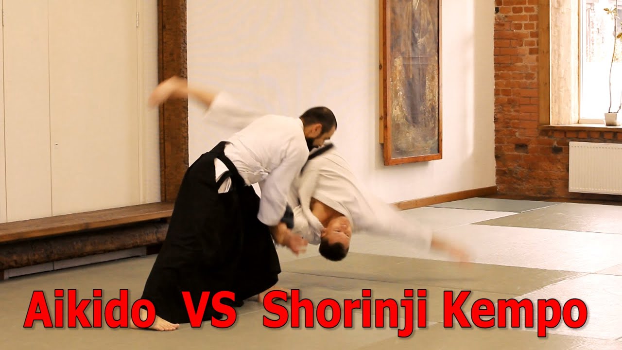 Martial arts. Aikido VS Shorinji Kempo. Айкидо и Сёриндзи Кэмпо. 合気道 と 少林寺拳法。
