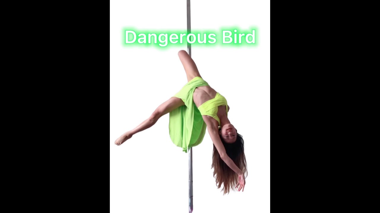 Dangerous Bird - Pole Dance Tutorial