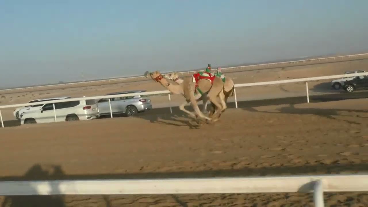 الشوط6(أرباح)للسيد: سالم هلال مبارك العفاري  توقيت 07:36