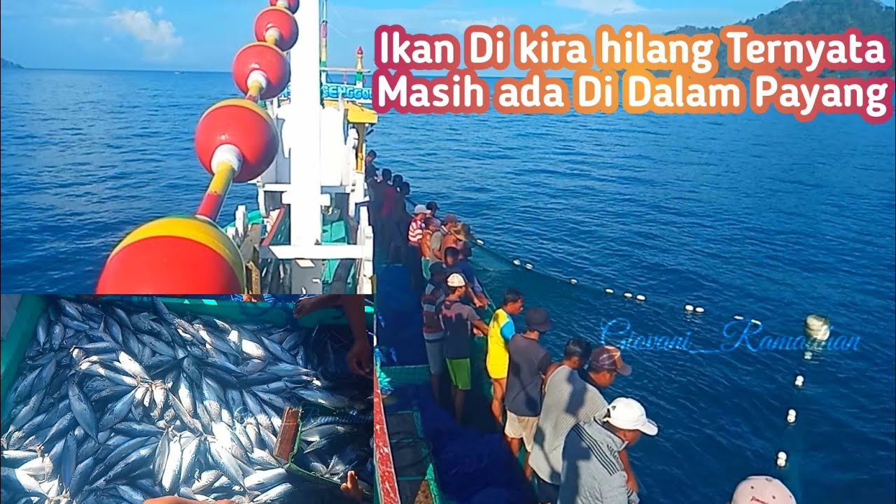 Rejeki Tak Terduga || Ikan di sangka Hilang ternyata ada di dalam payang..