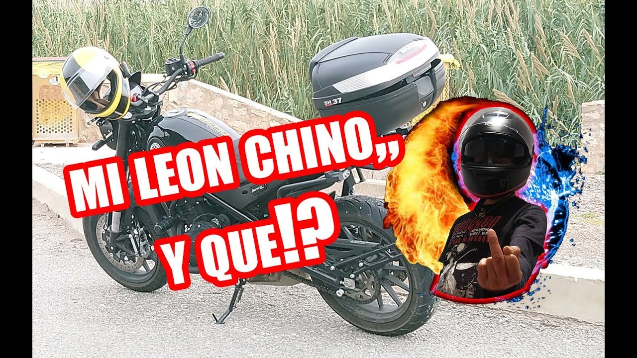 MI LEON CHINO 2ª revision  7500 km