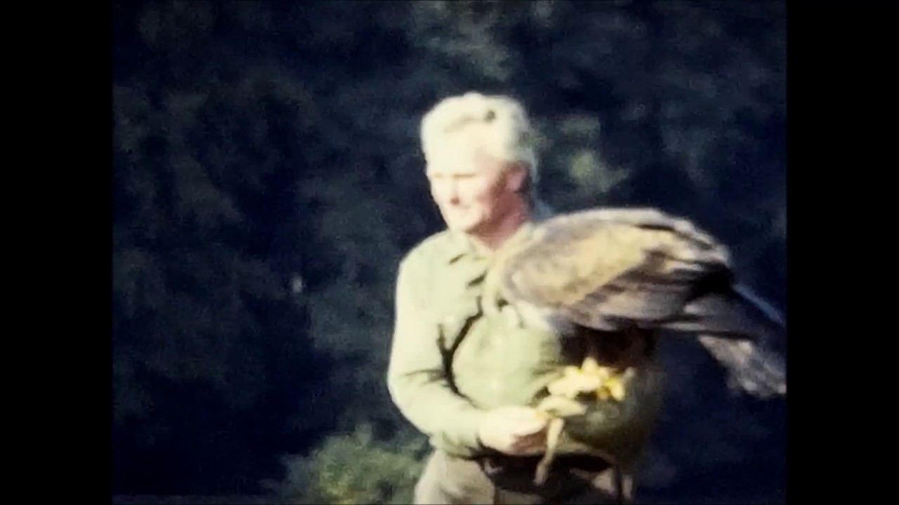 1970s Adler und Wolfspark Kasselburg