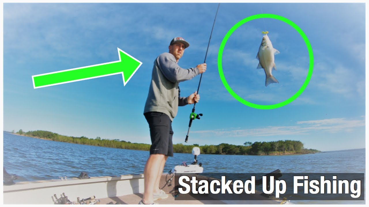 Shallow Water White Bass Fishing on Tawakoni