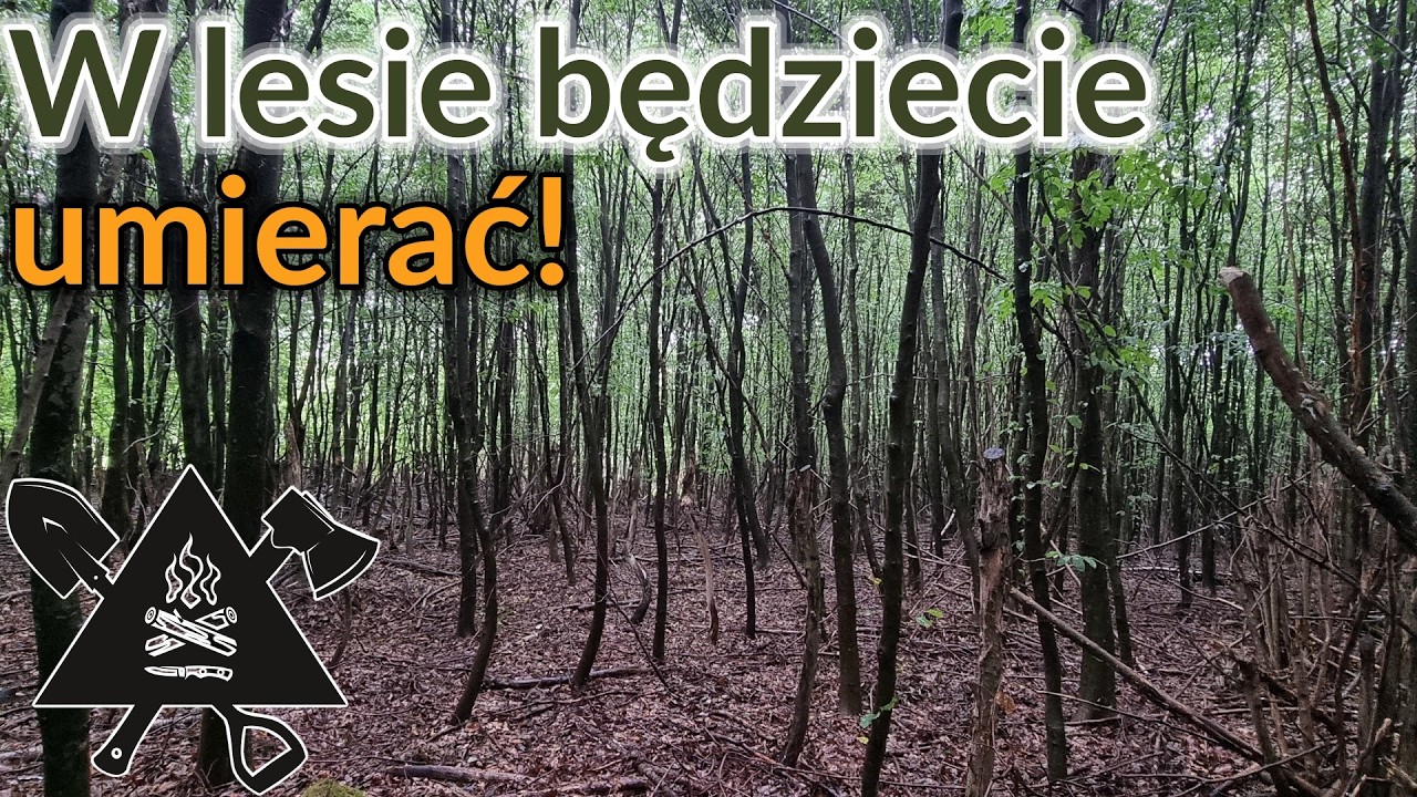 Nie uciekaj DO LASU!