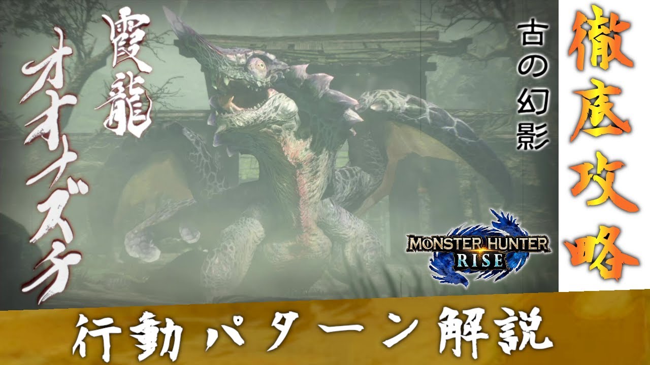 【モンハンライズ】霞龍 オオナズチ 攻略【行動パターン解説】【MHRise】