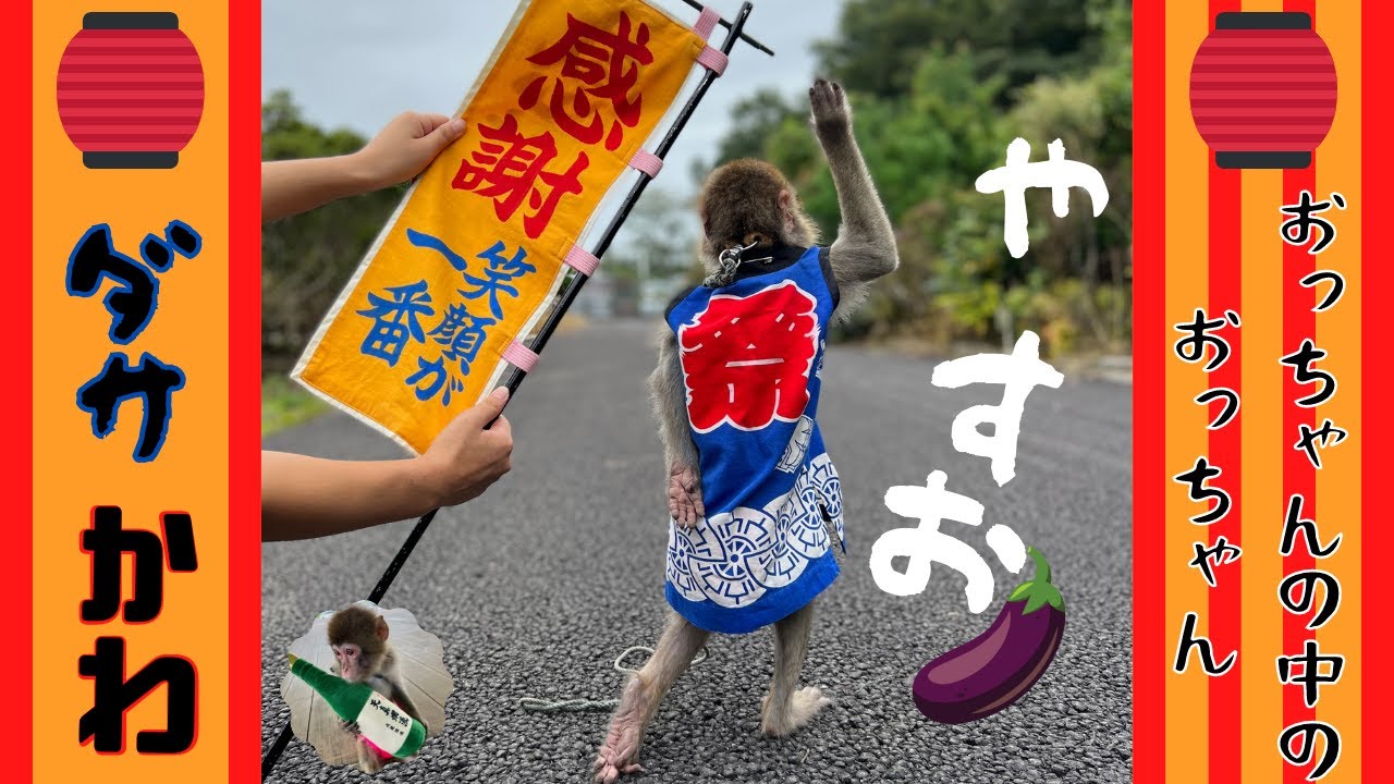 （愛）お待たせ致しました。ついにやすおくん（５歳）ことやすおっちゃんのご紹介です！とりあえずご覧ください笑