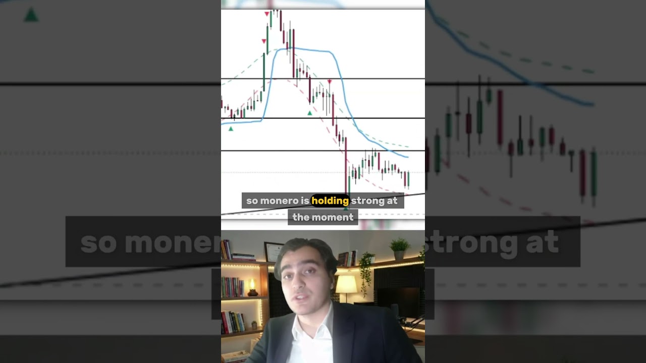 MONERO IS HOLDING STRONG - XMR #monero  #xmr  #crypto
