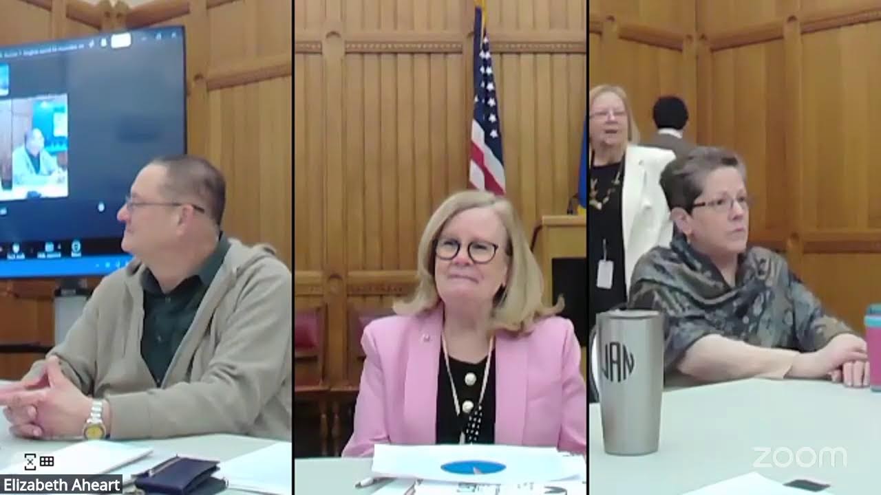 Aging Committee Nursing Home Working Group