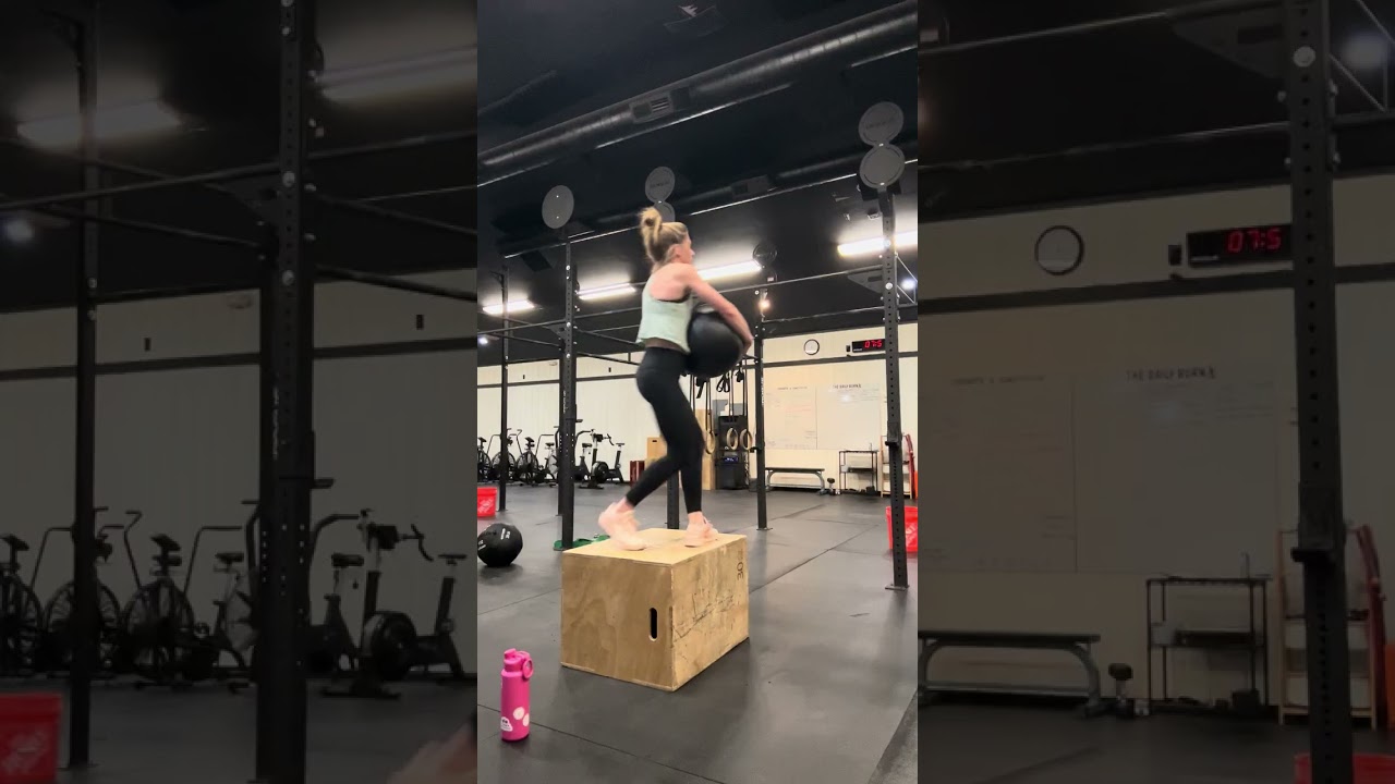 26.1