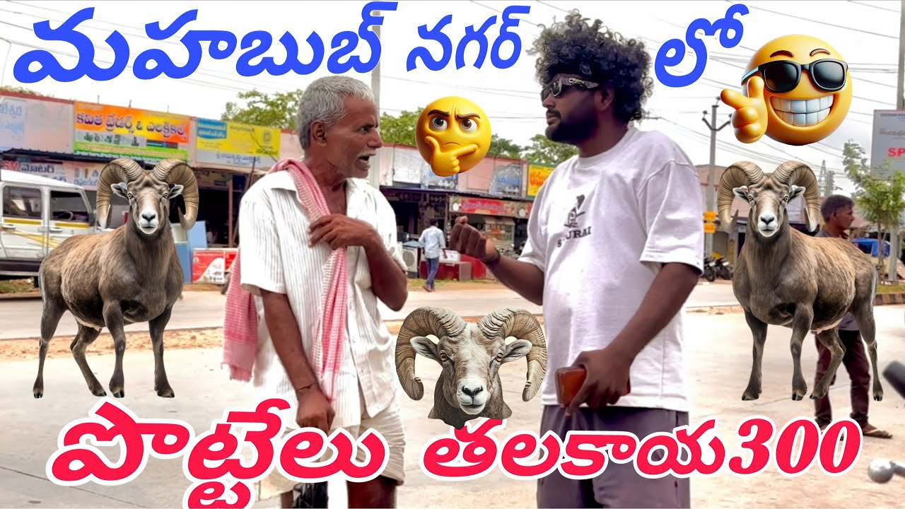 మహబుబ్ నగర్ లో పొట్టేలు తలకాయ 300🥸🥳