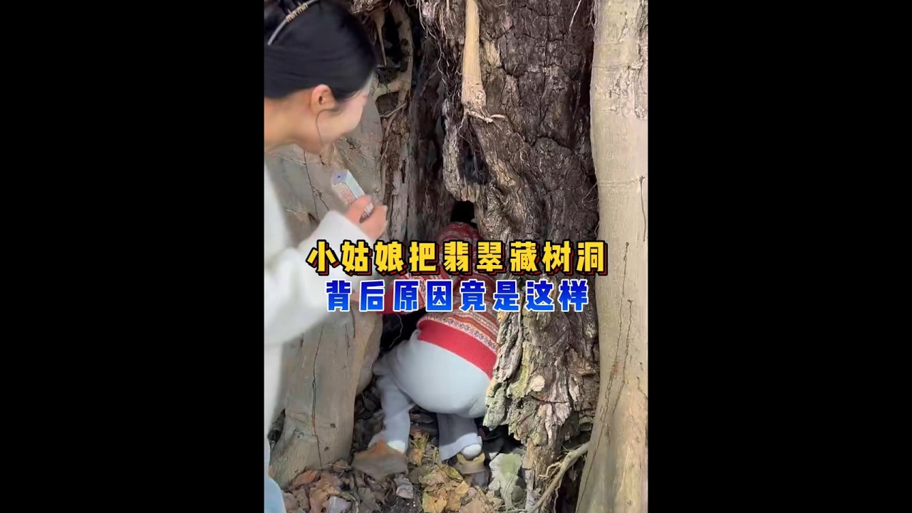 小姑娘把翡翠藏树洞，背后原因竟是这样？ #翡翠 #翡翠手镯 #翡翠珠宝 #翡翠定制