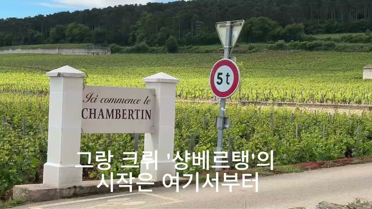 부르고뉴 포도밭 여행 #03 주브레-샹베르탱
