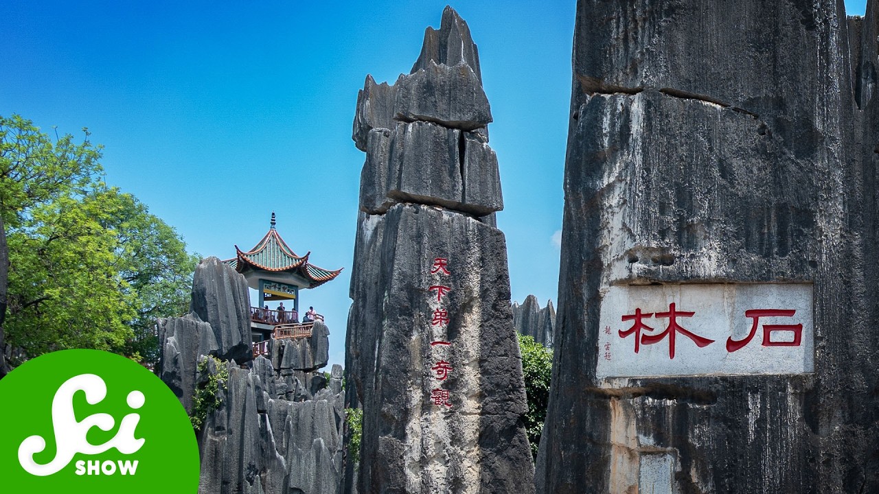 What China's Stone Forest Teaches Us About Cities