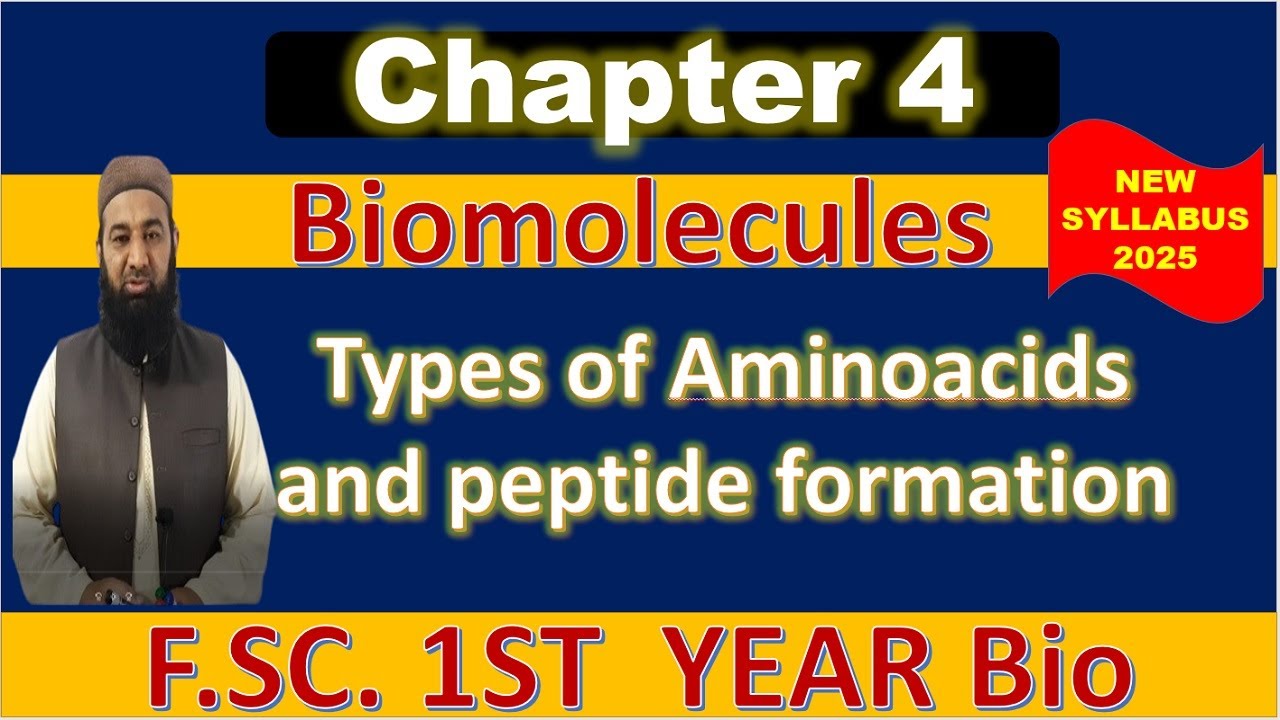 Class 11 Biology | Amino Acids & Peptide Bond | New Book 2025 | Punjab Text Book | BISM Academy