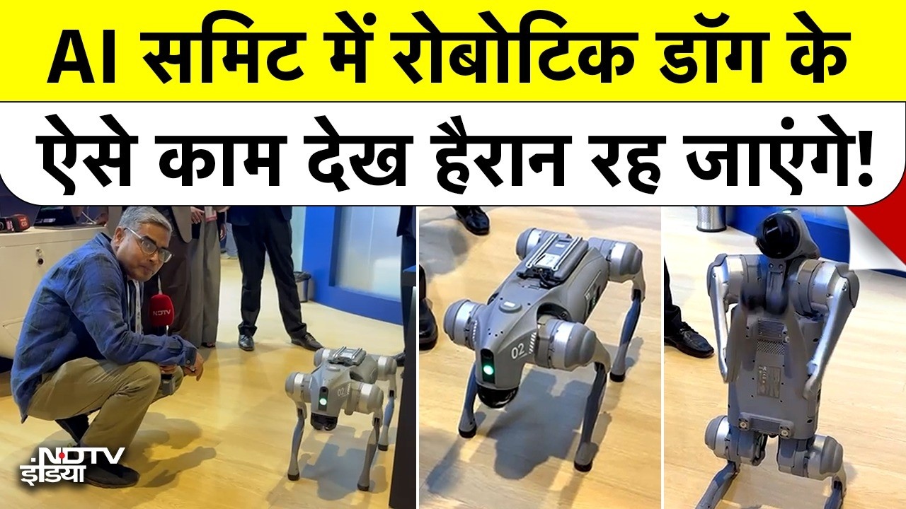 AI Impact Summit Delhi 2026: AI समिट में Robotic Dog के ऐसे काम देख हैरान रह जाएंगे! #delhi #ndtv