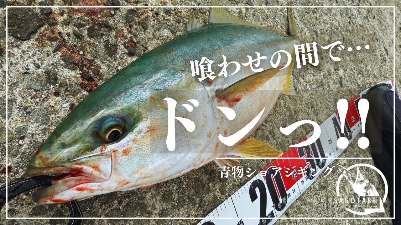 【ショアジギング】