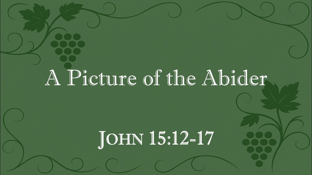 A Picture of the Abider | Abiding in the Vine: Part 5 | John 15:12-17 | Sermon Video