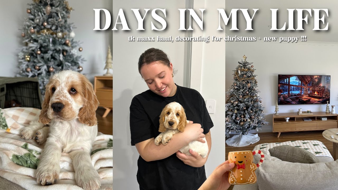 VLOG: home sweet home 🏡 picking up our new puppy (!!!) tk maxx haul + decorating for Christmas 🎄