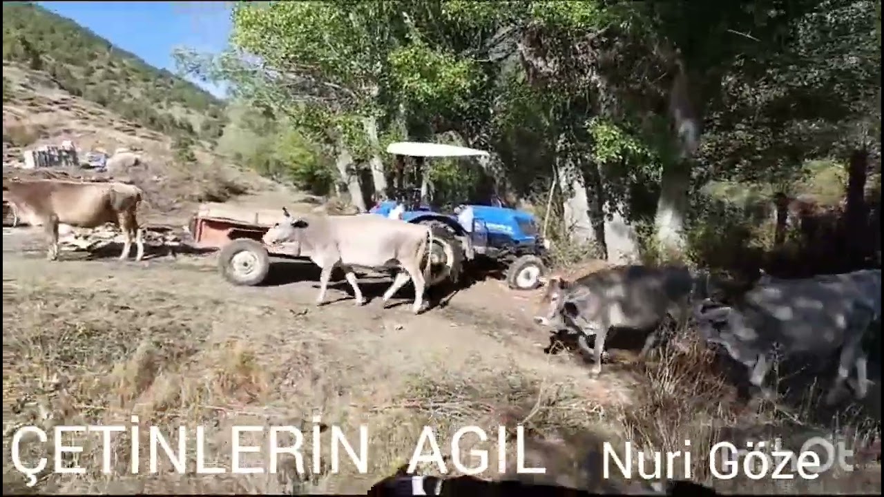 SİVAS ZARA KARACAHİSAR KÖYÜ BİZİM YAYLAMIZ