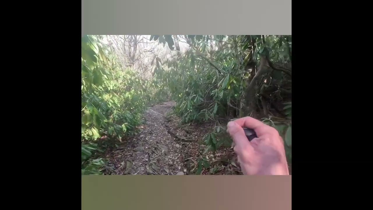 Smoky Mountains #TripleCrown #ThruHike #PCT #AppalachianTrail #CDT #BackpackingLife #AdventureShorts