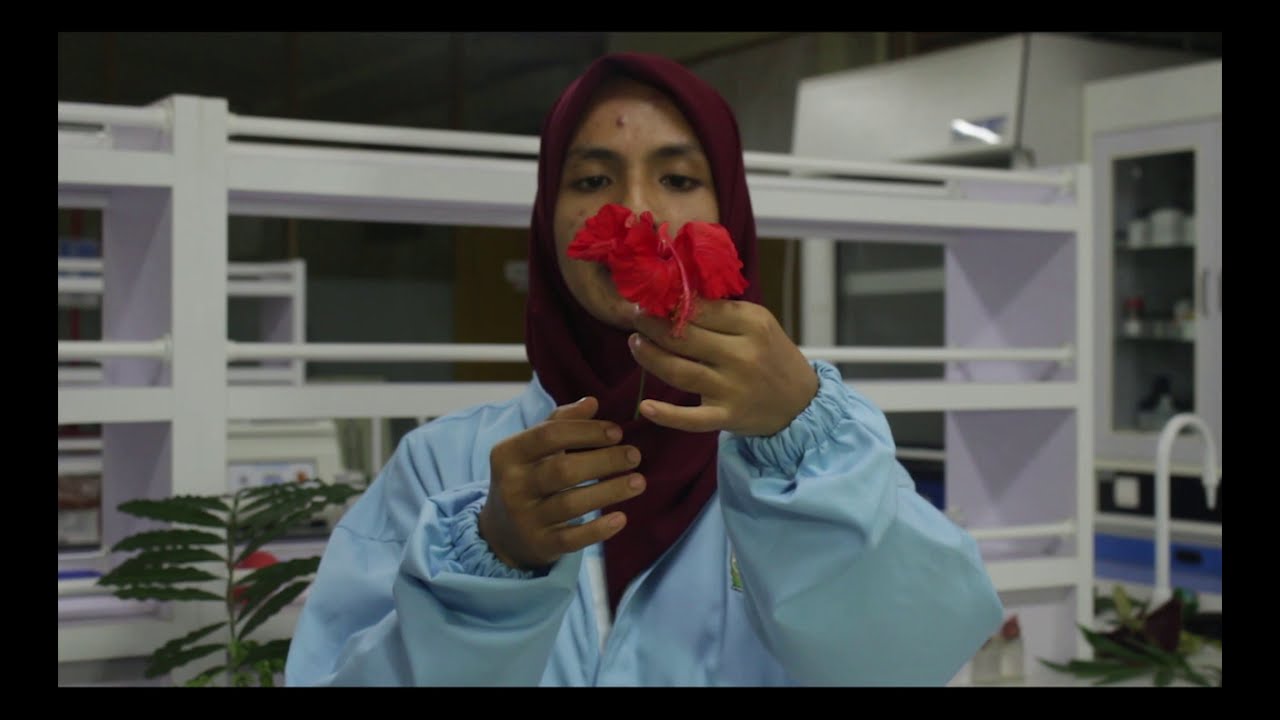 Morfologi Bunga dan Buah