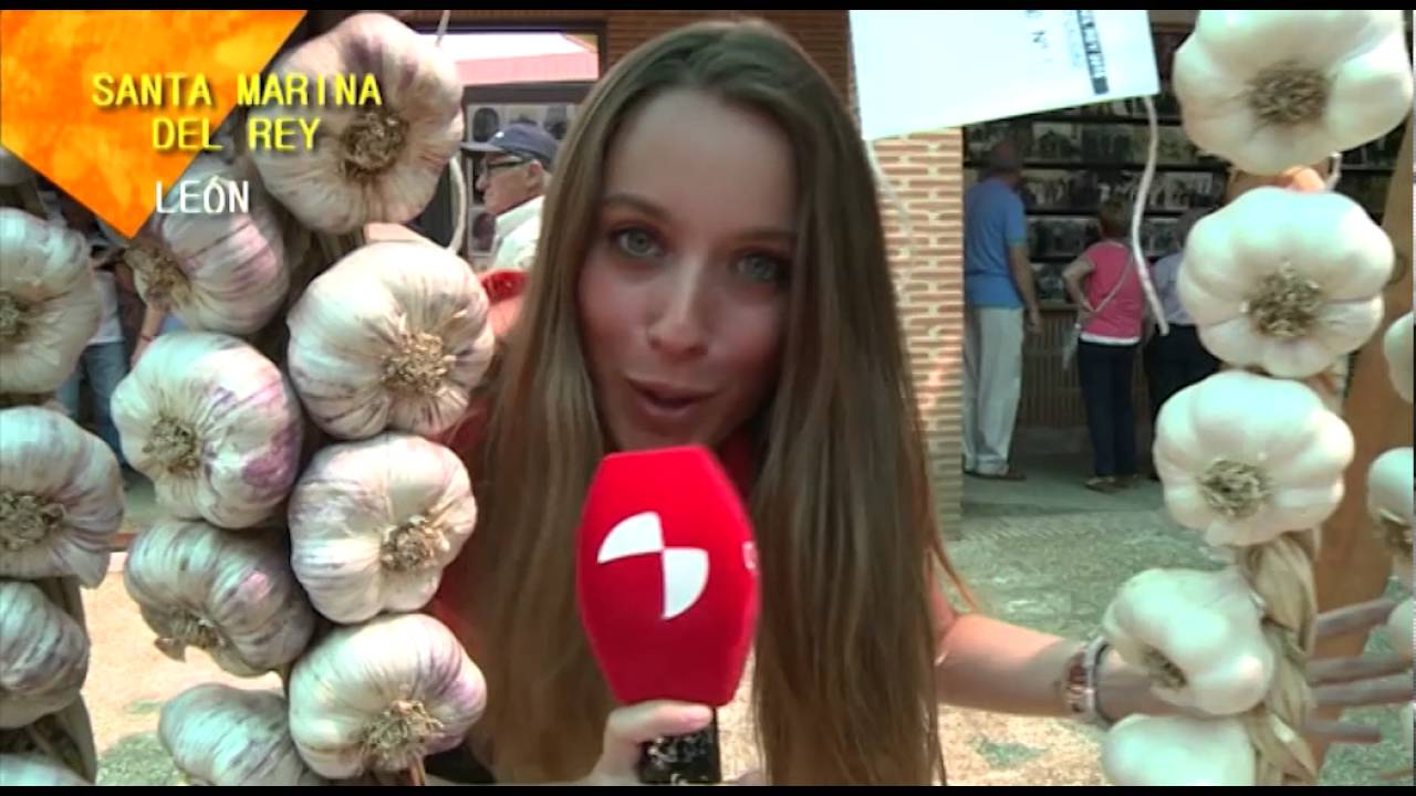 De fiesta en fiesta.- Arcos de Jalón, Santa Marina del Rey, Peñaranda de Bracamonte, Coreses