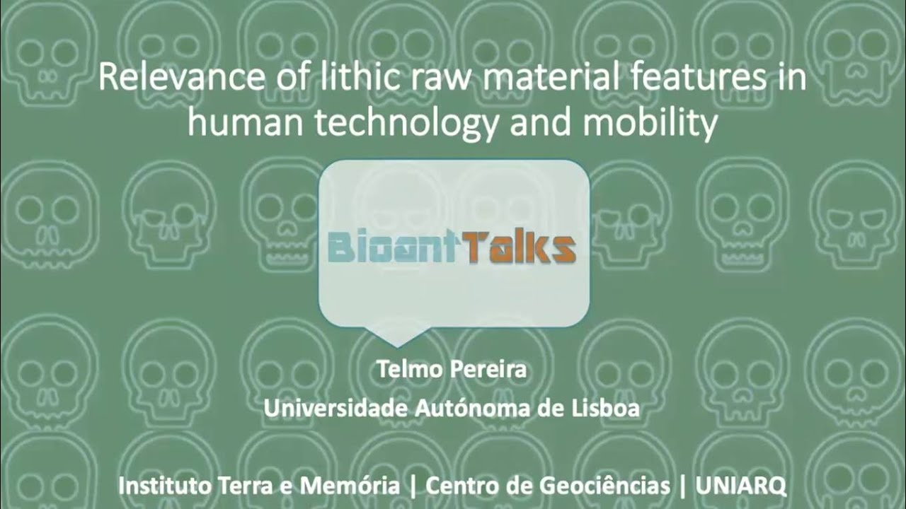Relevance of lithic raw material features in human technology and mobility