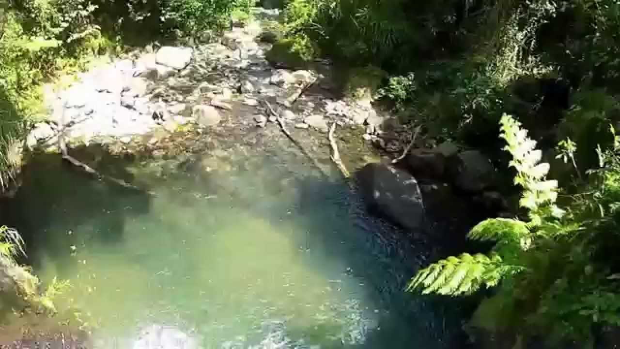 Saut Cascade Didier La Martinique